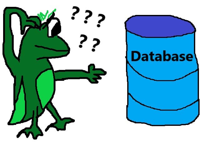 A frustrated frog stares at the database