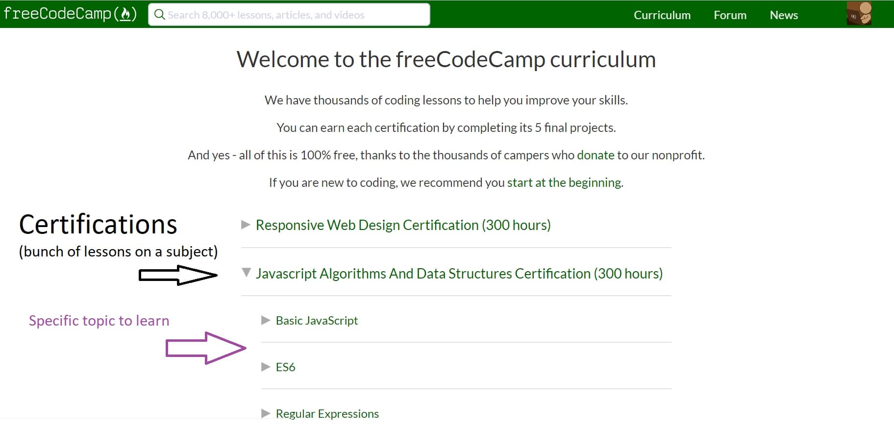 FreeCodeCamp.org - Learn web development from scratch